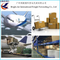 Frete de Carga Internacional do remetente da China do correio rápido enviado por via aérea a no mundo inteiro
